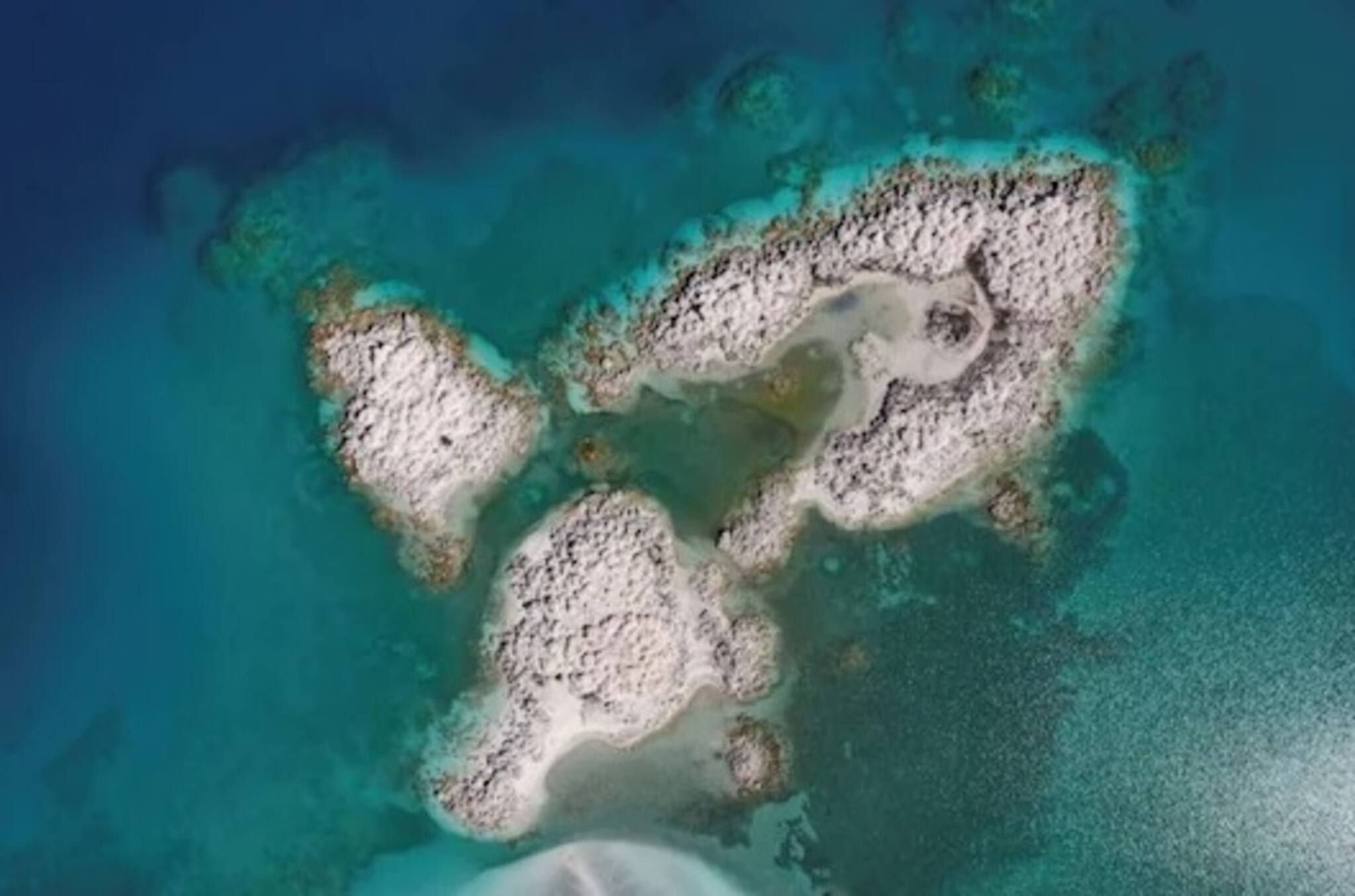 যা অনুমান করা হত, পৃথিবীর স্থলভাগ তার চেয়েও পুরনো; নয়া গবেষণায় চাঞ্চল্য বিশ্বে