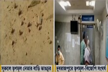 ৭ম দফা নির্বাচনের আগে বীরভূমে TMC নেতার বাড়িতে হামলা, পরিবারের সদস্যদের 'মারধর'