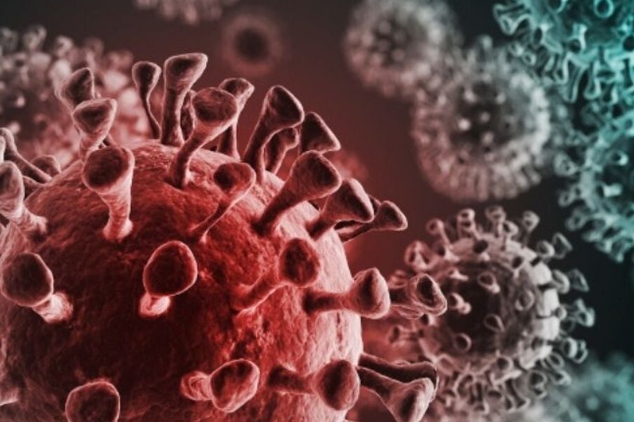  করোনা ভাইরাসের (Coronavirus) ডাবল মিউট্যান্টেই (Double Mutant) সারা দেশে হাহাকার। আর এবার সেই ডাবল মিউট্যান্টের আতঙ্কের মধ্যেই চিন্তা বাড়ালো ট্রিপল মিউট্যান্ট (Triple Mutant Corona)। এই ট্রিপল মিউট্যান্ট আরও শক্তিশালী বলেই জানাচ্ছেন বিশেষজ্ঞরা। ইতিমধ্যে দেশের বেশ কয়েকটি রাজ্যে ছড়িয়েছে এই মিউট্য়ান্ট। আর সেই রাজ্যগুলির মধ্যে প্রথমেই এগিয়ে রয়েছে পশ্চিমবঙ্গ (Corona in Bengal)। আর তাই এই মিউট্যান্টের নাম দেওয়া হয়েছে বেঙ্গল স্ট্রেইন (Bengal Strain)।