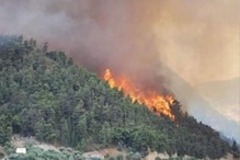 Uttarakhand Fire: ২৪ ঘণ্টায় ৬৩ হেক্টর জঙ্গল পুড়ে ছাই, হাই অ্যালার্ট জারি