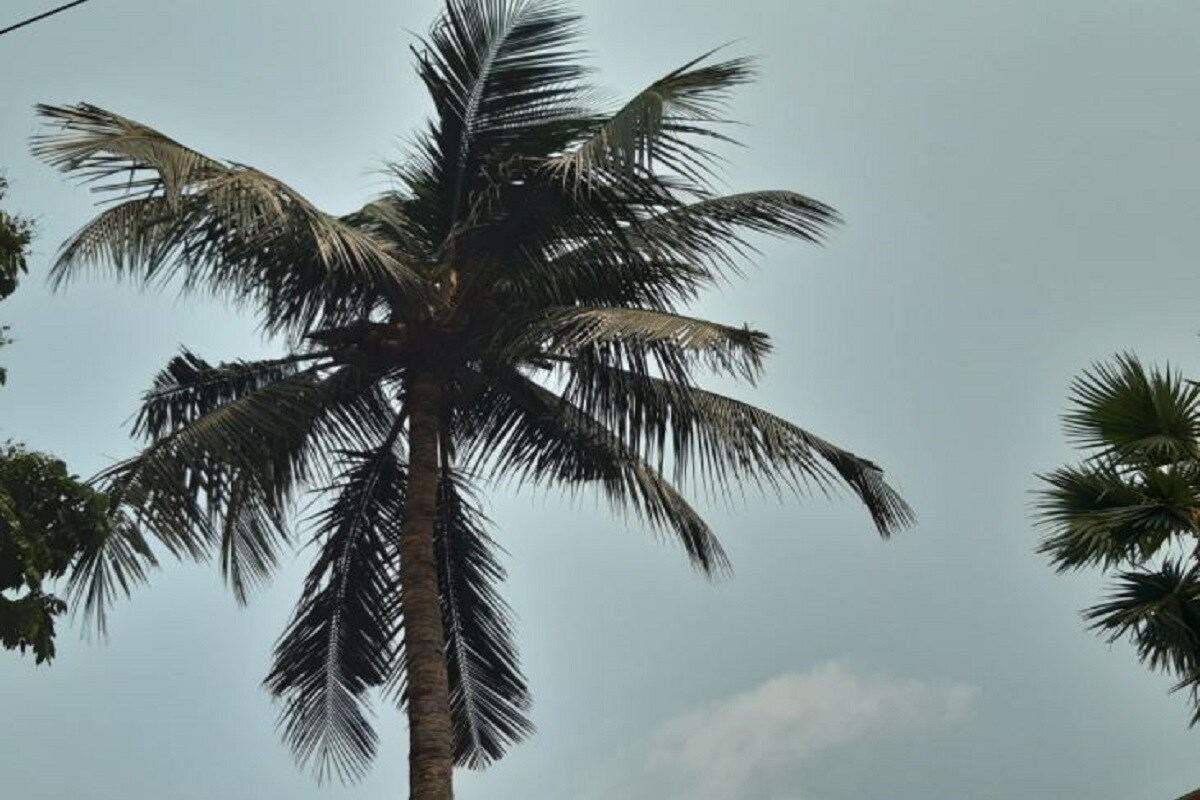 •উত্তরবঙ্গেও বজ্রবিদ্যুৎ সহ বৃষ্টির সম্ভাবনা রয়েছে। সঙ্গে হালকা ঝোড়ো হাওয়া বইতে পারে উত্তরবঙ্গেও। •উত্তরবঙ্গেও বজ্রবিদ্যুৎ সহ বৃষ্টির সম্ভাবনা রয়েছে। সঙ্গে হালকা ঝোড়ো হাওয়া বইতে পারে উত্তরবঙ্গেও।