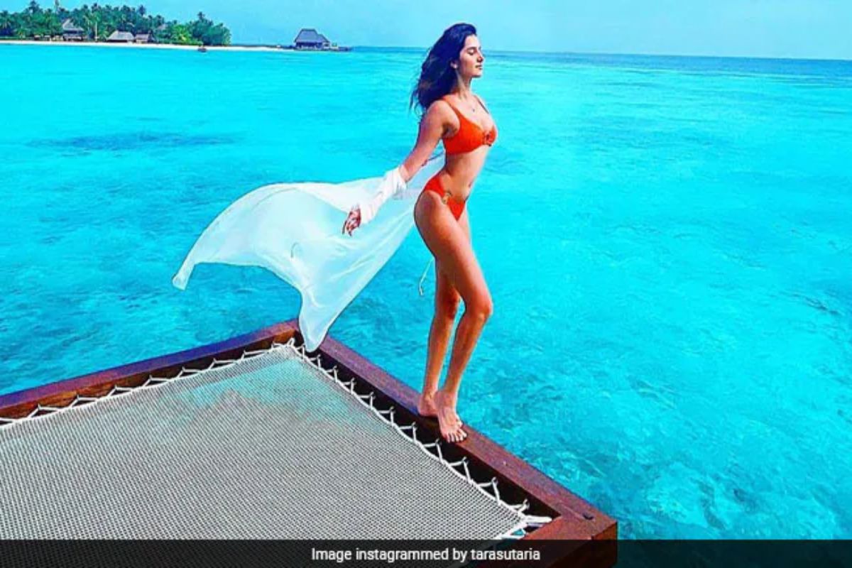 প্রতি বছর প্রায় ২০ লক্ষ পর্যটকের সমাগম হয় এই সৈকত নগরীতে। অন্যদিকে, ভারতীয় পর্যটকদের আগমণ বাড়লেও চিন, জাপান, দক্ষিণ কোরিয়া থেকে পর্যটক আগমণ প্রায় ৯৮ শতাংশ কমে গিয়েছে বলে জানা যাচ্ছে। এর জন্য অবশ্য করোনার লাগামছাড়া সংক্রমণকেই দায়ী করছে ওয়াকিবহাল মহল।