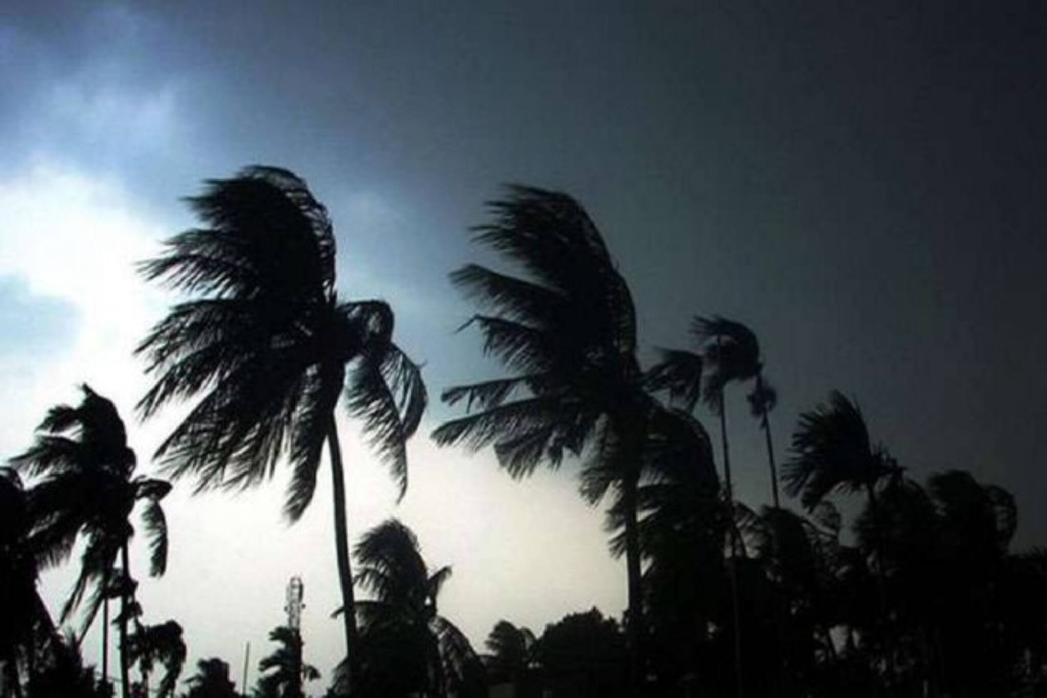 Weather: মরসুমের প্রথম কালবৈশাখীতে এলোমেলো পূর্ব বর্ধমান, দীর্ঘক্ষণ শিলাবৃষ্টিতে ফিরল স্বস্তি