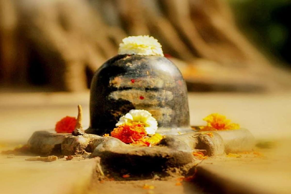 ভোলা মহেশ্বর, মহাদেব, শিব, শম্ভু, মহাদেবের পাশিপাশি নীলকন্ঠও শিবের নাম ৷ পুরাণ মতে শিবের সঙ্গে নীলবাতীর বিয়ের দিনটিই বাংলার ঘরে ঘরে নীলষষ্ঠী রূপে পালিত হয় ৷ ভোলা মহেশ্বর, মহাদেব, শিব, শম্ভু, মহাদেবের পাশিপাশি নীলকন্ঠও শিবের নাম ৷ পুরাণ মতে শিবের সঙ্গে নীলবাতীর বিয়ের দিনটিই বাংলার ঘরে ঘরে নীলষষ্ঠী রূপে পালিত হয় ৷