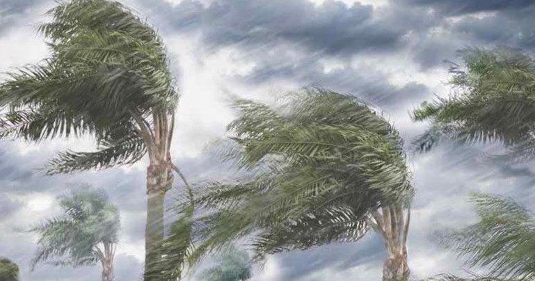 • মঙ্গল ও বুধবার ভারী বৃষ্টির পূর্বাভাস। বৃহস্পতিবার পর্যন্ত রাজ্যজুড়ে ঝড় বৃষ্টির সম্ভাবনা। ভারী বৃষ্টি হতে পারে উত্তরবঙ্গ ও দক্ষিণবঙ্গের ১০ জেলায়। বজ্রবিদ্যুৎ সহ বৃষ্টির সঙ্গে শিলাবৃষ্টি এবং ৫০ থেকে ৬০ কিলোমিটার বেগে ঝড়ের সর্তকতা জারি করল আলিপুর আবহাওয়া দফতর। • মঙ্গল ও বুধবার ভারী বৃষ্টির পূর্বাভাস। বৃহস্পতিবার পর্যন্ত রাজ্যজুড়ে ঝড় বৃষ্টির সম্ভাবনা। ভারী বৃষ্টি হতে পারে উত্তরবঙ্গ ও দক্ষিণবঙ্গের ১০ জেলায়। বজ্রবিদ্যুৎ সহ বৃষ্টির সঙ্গে শিলাবৃষ্টি এবং ৫০ থেকে ৬০ কিলোমিটার বেগে ঝড়ের সর্তকতা জারি করল আলিপুর আবহাওয়া দফতর।