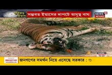 ভিডিও: ইয়াসের প্রভাব বন্যপ্রাণে, সুন্দরবনে মর্মান্তিক মৃত্যু বাঘের! দেখুন