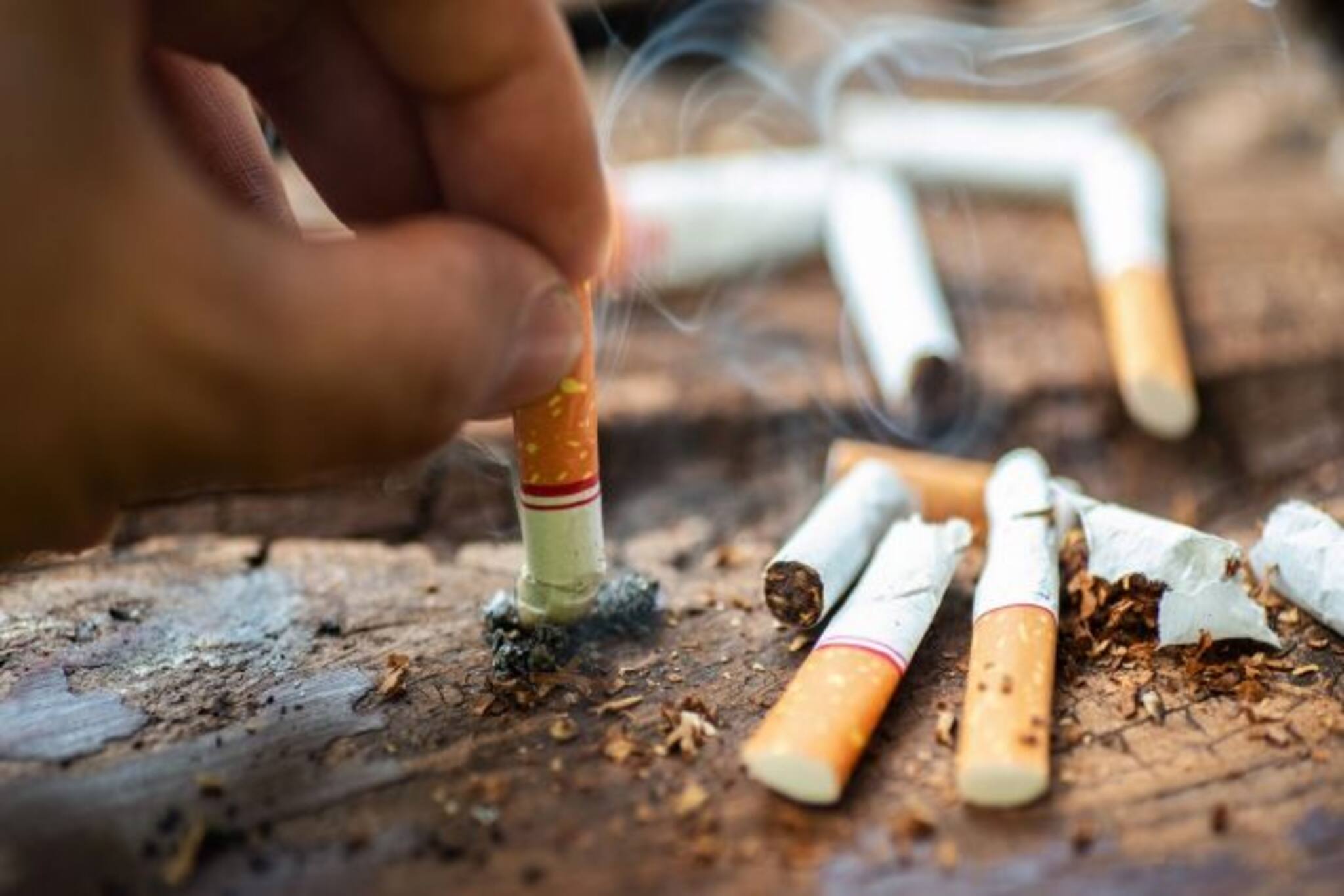 World No Tobacco Day 2021: জানুন কী ভাবে সারা বিশ্বে একই দিনে শুরু হল তামাক বর্জনের জেহাদ!