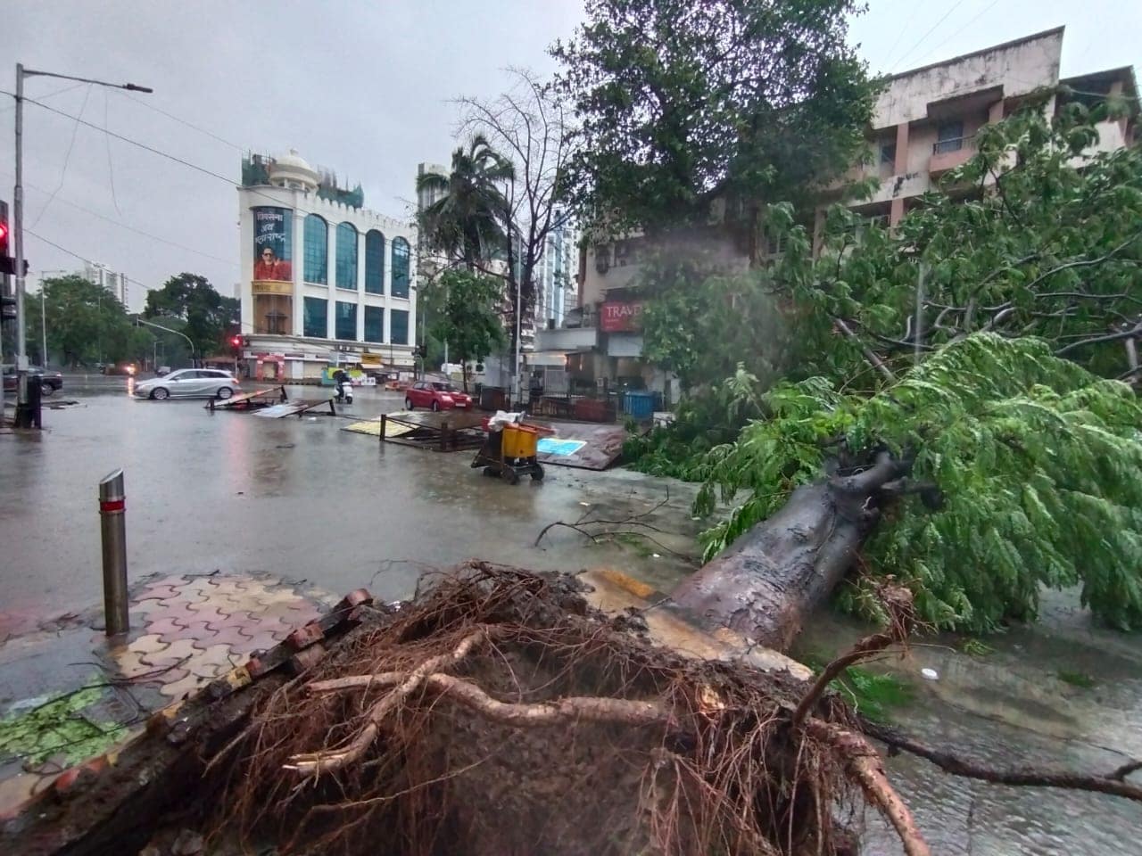 গুজরাটের উপকূলবর্তী এলাকা থেকে ইতিমধ্যেই সরানো হয়েছে ১.৫ লক্ষ মানুষকে। পোরবন্দর এলাকাগুলি বন্ধ রাখা হয়েছে এবং কড়া সতর্কতা জারি করা হয়েছে। গুজরাটের উপকূলবর্তী এলাকা থেকে ইতিমধ্যেই সরানো হয়েছে ১.৫ লক্ষ মানুষকে। পোরবন্দর এলাকাগুলি বন্ধ রাখা হয়েছে এবং কড়া সতর্কতা জারি করা হয়েছে।