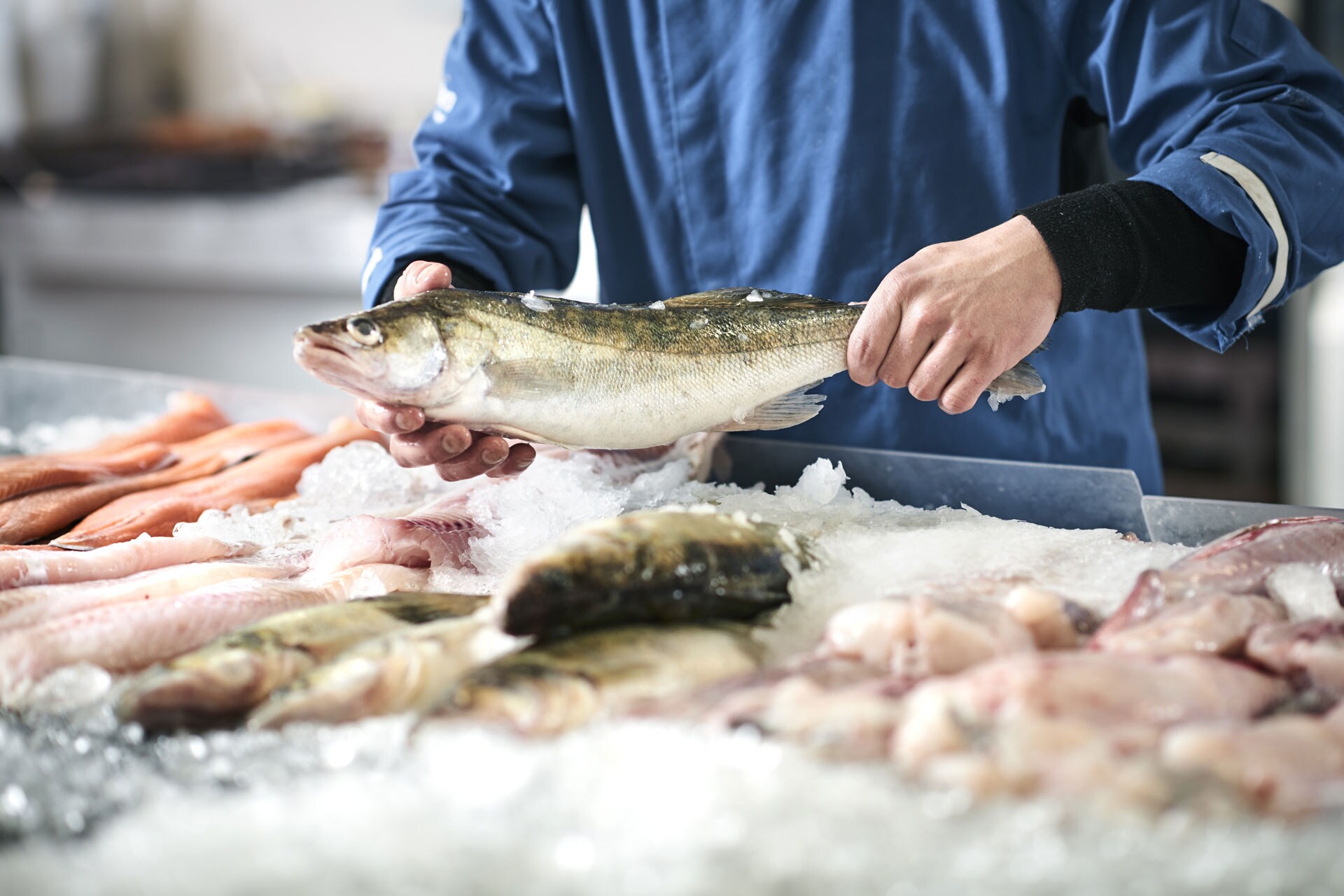 • FISH WITH HIGH MERCURY CONTENT: শোর্ডফিস, টুনা, টাইলফিশ, এই ধরনের মাছ গুলি যত কম সম্ভব খাদ্যতালিকায় রাখুন । এই মাছগুলি অন্য ছোট মাছ খেয়ে বড় হয় । তাইএতে পারদের পরিমাণ খুব বেশি পরিমাণে থাকে । এই মাছ খেলে তাই ফার্টিলিটি কমার সম্ভাবনা থাকে পুরুষের । • FISH WITH HIGH MERCURY CONTENT: শোর্ডফিস, টুনা, টাইলফিশ, এই ধরনের মাছ গুলি যত কম সম্ভব খাদ্যতালিকায় রাখুন । এই মাছগুলি অন্য ছোট মাছ খেয়ে বড় হয় । তাইএতে পারদের পরিমাণ খুব বেশি পরিমাণে থাকে । এই মাছ খেলে তাই ফার্টিলিটি কমার সম্ভাবনা থাকে পুরুষের ।