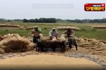 ঘূর্ণিঝড়ের আতঙ্কে তড়িঘড়ি ধান বাড়িতে তোলার কাজ সেরে ফেললেন বীরভূমের চাষীরা ঘূর্ণিঝড়ের আতঙ্কে তড়িঘড়ি ধান বাড়িতে তোলার কাজ সেরে ফেললেন বীরভূমের চাষীরা