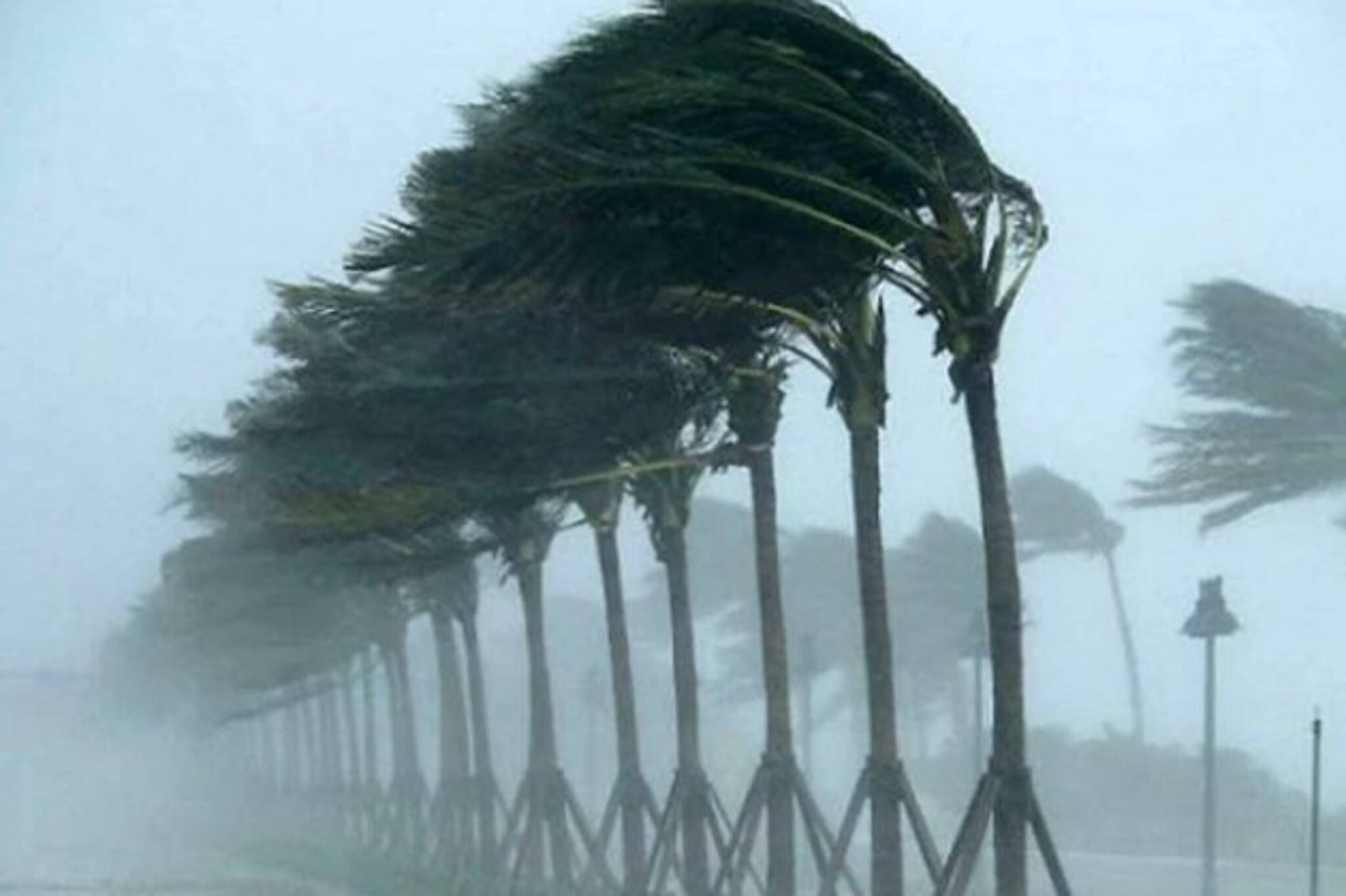 আয়লা, আমফানের মতো বাংলায় ভয়ঙ্কর হবে না ইয়াস! কী ব্যাখ্যা দিল হাওয়া অফিস?