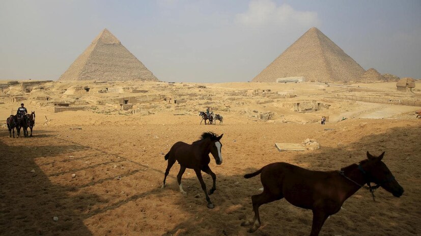 মিশর- ভারতীয় পর্যটকদের জন্য এখন খোলা রয়েছে মিশর ৷ তবে ওই দেশে পৌঁছলেই বিমানবন্দরের অ্যারাইভালে র‍্যাপিড অ্যান্টিজেন টেস্টের ব্যবস্থা করা হয়েছে ৷ যদি রিপোর্ট পজিটিভ আসে, তাহলে সেই যাত্রীকে দেশে ফিরে যেতে বলা হতে পারে ৷ নাহলে মিশরেই ১৪ দিনের কোয়ারেন্টাইনে থাকতে হবে ৷