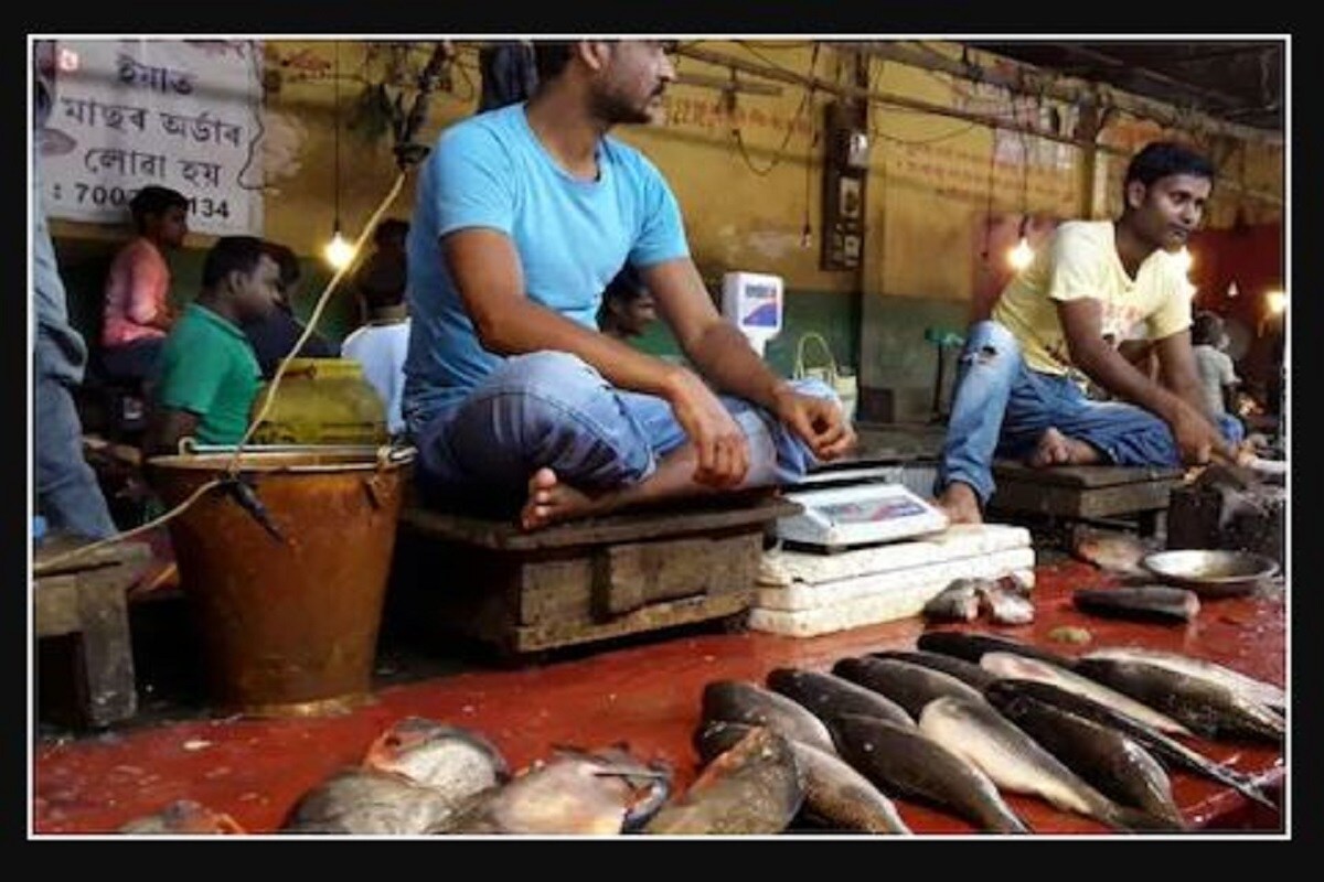সর্বভারতীয় সংবাদমাধ্যম টাইমস অফ ইন্ডিয়ার খবর অনুযায়ি কলকাতায় রোজ উত্তরপ্রদেশ ও মধ্যপ্রদেশ থেকে তিন থেকে চার টন মাছ আসবে৷ এছাড়াও গুজরাত ও অন্ধ্রপ্রদেশ থেকেও প্রচুর মাছ আসে৷ আর এর জন্য আগামী কিছু বাংলা বাজারে মাছের যোগানে ঘাটতি থাকবে৷ সর্বভারতীয় সংবাদমাধ্যম টাইমস অফ ইন্ডিয়ার খবর অনুযায়ি কলকাতায় রোজ উত্তরপ্রদেশ ও মধ্যপ্রদেশ থেকে তিন থেকে চার টন মাছ আসবে৷ এছাড়াও গুজরাত ও অন্ধ্রপ্রদেশ থেকেও প্রচুর মাছ আসে৷ আর এর জন্য আগামী কিছু বাংলা বাজারে মাছের যোগানে ঘাটতি থাকবে৷