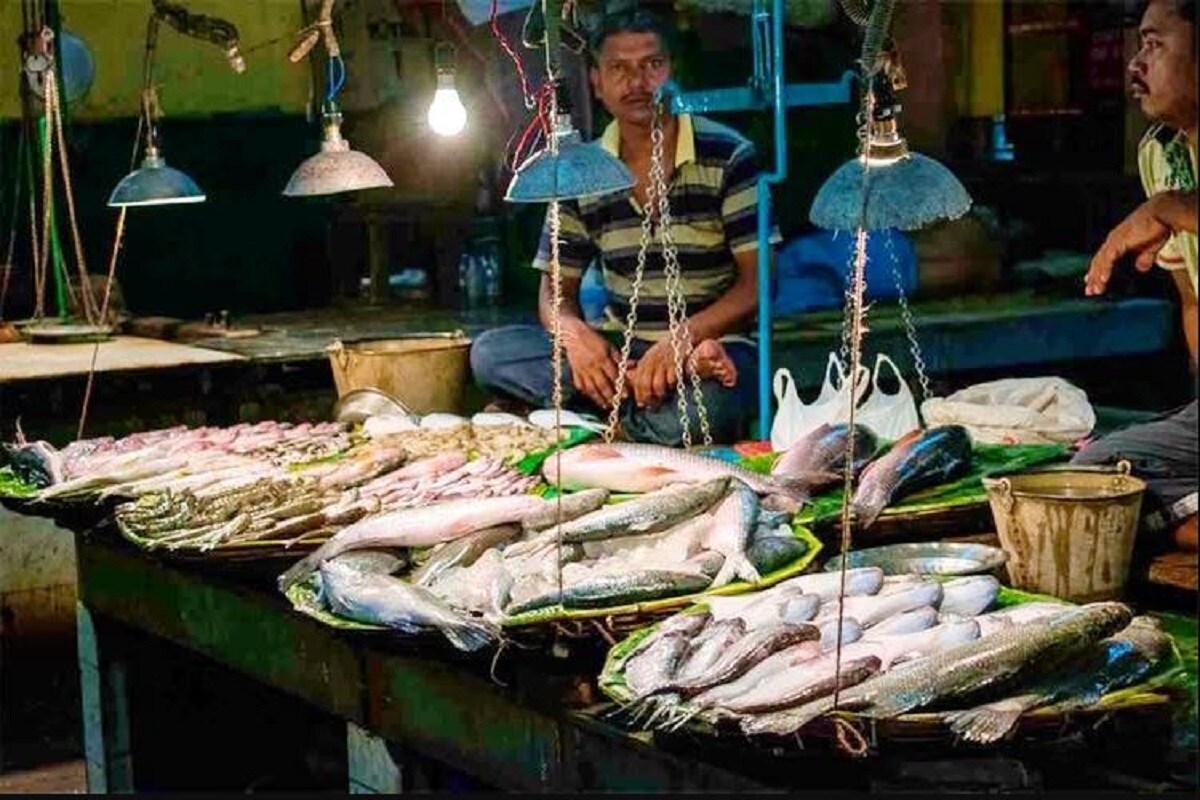 করোনা নিয়ে একাধিক ধরণের খবরের জেরে মানুষের মধ্যে আতঙ্ক চলছেই৷ অনেক মানুষ এখন নির্ভয়ে মাছ কিনতেও পারছে না৷ এক খরিদ্দার জানান, মাছ ছাড়া একদিনও খাবেন ভাবতে পারেন না৷ কিন্তু নদীতে করোনা আক্রান্তদের লাশ ভাসার খবরে সকলের মধ্যেই আতঙ্ক তৈরি হয়েছে৷ মৎস্য রিসার্চ ইনসটিটিউট -র বৈজ্ঞানিক রঞ্জন কুমার মনন জানিয়েছেন মানুষ এই বিষয়গুলি সহজে ভোলে না৷ তাই মৎস্য ব্যবসায় বড় প্রভাব পড়েছে৷ করোনা নিয়ে একাধিক ধরণের খবরের জেরে মানুষের মধ্যে আতঙ্ক চলছেই৷ অনেক মানুষ এখন নির্ভয়ে মাছ কিনতেও পারছে না৷ এক খরিদ্দার জানান, মাছ ছাড়া একদিনও খাবেন ভাবতে পারেন না৷ কিন্তু নদীতে করোনা আক্রান্তদের লাশ ভাসার খবরে সকলের মধ্যেই আতঙ্ক তৈরি হয়েছে৷ মৎস্য রিসার্চ ইনসটিটিউট -র বৈজ্ঞানিক রঞ্জন কুমার মনন জানিয়েছেন মানুষ এই বিষয়গুলি সহজে ভোলে না৷ তাই মৎস্য ব্যবসায় বড় প্রভাব পড়েছে৷