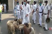 রাজভবনের সামনে রাজপথে ওরা কারা? অভিনব প্রতিবাদ দেখে তাজ্জব শহর কলকাতা! রাজভবনের সামনে রাজপথে ওরা কারা? অভিনব প্রতিবাদ দেখে তাজ্জব শহর কলকাতা!