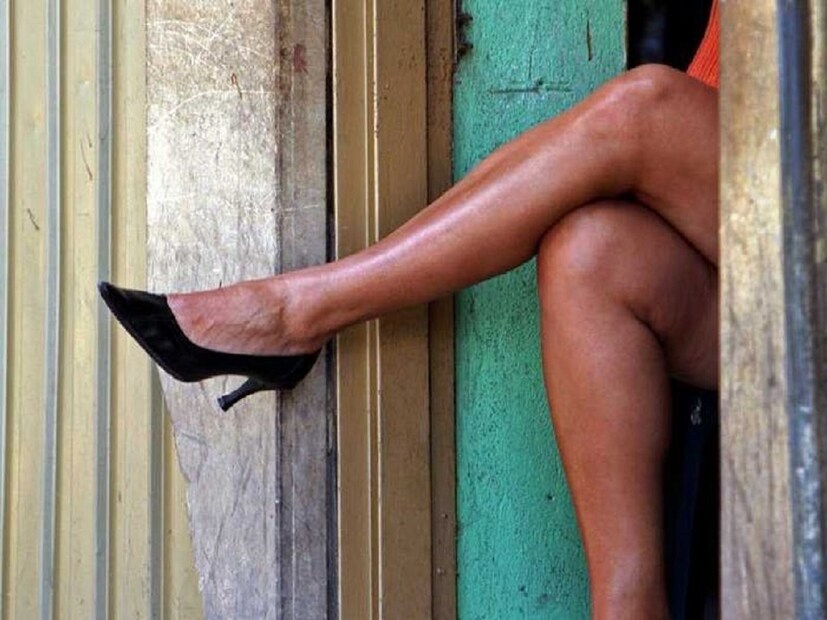 শার্লট জানিয়েছেন যে এই ব্যাপারে তাঁরা সমীক্ষায় অংশগ্রহণকারীদের একটি ফর্ম ফিল আপ করতে বলেছিলেন তাঁদের যৌনজীবনের উপভোগ্যতার ভিত্তিতে। দেখা গিয়েছে- যে সব পুরুষেরা নিষিদ্ধপল্লীতে যান এবং সেক্সের জন্য পয়সা খরচ করে থাকেন, তাঁদের কারও যৌনজীবন আদপেই উপভোগ্য নয়। হয় তাঁরা সঙ্গিনীর কাছ থেকে যথেষ্ট আনন্দ পাচ্ছেন না বা তাঁদের সঙ্গিনীর অভাব রয়েছে- এই দুই কারণের যে কোনও একটা তাঁদের পরিচালিত করেছে এমন পদক্ষেপে।