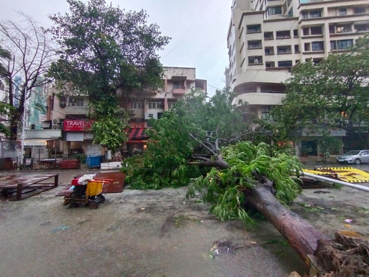 সোমবার সকালে এটি মুম্বই সংলগ্ন পূর্ব-মধ্য আরব সাগরে অবস্থান করছে। মুম্বইয়ে ঝড়ের ঝাপটা দিয়ে এটি পালঘর ফিরিয়ে গুজরাত উপকূলের উনারের দিকে অগ্রসর হয়েছে। সম্ভবত ভেনাকবাড়া ও দেলভাদারের মাঝে এটি স্থলভাগে প্রবেশ করবে। গুজরাত উপকূলে উনার কাছাকাছি এই অঞ্চল গুলি প্রবল ক্ষতিগ্রস্ত হওয়ার আশঙ্কা। জুনাগড় জেলার উনায় সবথেকে বেশি ক্ষতির সম্ভাবনা। জুনাগড় ও আমরেলিতে প্রবল ক্ষতি হওয়া সম্ভাবনা এই ঝড়ে। গির ন্যাশনাল পার্কের ব্যাপক ক্ষতির আশঙ্কা রয়েছে। সমুদ্রের জলোচ্ছ্বাস তীব্র হবে ঘূর্ণিঝড় স্থলভাগের প্রবেশ করার সময়। ৩ মিটার মত উঁচু জলোচ্ছ্বাস হতে পারে দিউ, আমরেলি ,ভাবনগর, গির সোমনাথ ও জুনাগড় এলাকায়। সোমবার সকালে এটি মুম্বই সংলগ্ন পূর্ব-মধ্য আরব সাগরে অবস্থান করছে। মুম্বইয়ে ঝড়ের ঝাপটা দিয়ে এটি পালঘর ফিরিয়ে গুজরাত উপকূলের উনারের দিকে অগ্রসর হয়েছে। সম্ভবত ভেনাকবাড়া ও দেলভাদারের মাঝে এটি স্থলভাগে প্রবেশ করবে। গুজরাত উপকূলে উনার কাছাকাছি এই অঞ্চল গুলি প্রবল ক্ষতিগ্রস্ত হওয়ার আশঙ্কা। জুনাগড় জেলার উনায় সবথেকে বেশি ক্ষতির সম্ভাবনা। জুনাগড় ও আমরেলিতে প্রবল ক্ষতি হওয়া সম্ভাবনা এই ঝড়ে। গির ন্যাশনাল পার্কের ব্যাপক ক্ষতির আশঙ্কা রয়েছে। সমুদ্রের জলোচ্ছ্বাস তীব্র হবে ঘূর্ণিঝড় স্থলভাগের প্রবেশ করার সময়। ৩ মিটার মত উঁচু জলোচ্ছ্বাস হতে পারে দিউ, আমরেলি ,ভাবনগর, গির সোমনাথ ও জুনাগড় এলাকায়।
