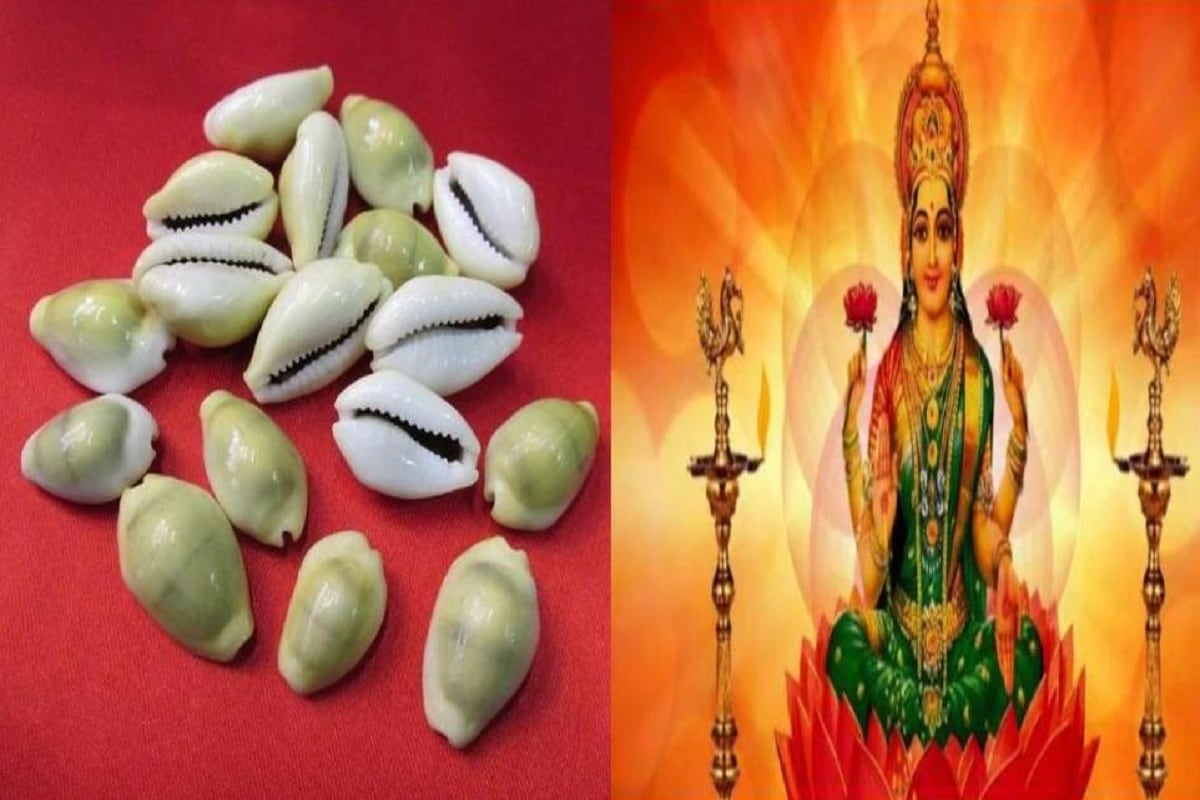 •মা লক্ষ্মী সাদা কড়ি খুব পছন্দ করেন এবং ঘরে সুখ এবং সমৃদ্ধির আশীর্বাদ দেন। এই কড়িগুলি ঘরে আনা অত্যন্ত শুভ বলে বিবেচিত হয়। বাড়ির পূর্ব এবং উত্তরের মধ্যে উত্তর-পূর্ব কোণ রয়েছে যা দেবতাদের বাসস্থান হিসাবে বিবেচিত হয়। অক্ষয় তৃতীয়ার দিনে কোড়ি নিয়ে আসুন এবং এই নির্দিষ্ট দিকে রাখুন। •মা লক্ষ্মী সাদা কড়ি খুব পছন্দ করেন এবং ঘরে সুখ এবং সমৃদ্ধির আশীর্বাদ দেন। এই কড়িগুলি ঘরে আনা অত্যন্ত শুভ বলে বিবেচিত হয়। বাড়ির পূর্ব এবং উত্তরের মধ্যে উত্তর-পূর্ব কোণ রয়েছে যা দেবতাদের বাসস্থান হিসাবে বিবেচিত হয়। অক্ষয় তৃতীয়ার দিনে কোড়ি নিয়ে আসুন এবং এই নির্দিষ্ট দিকে রাখুন।