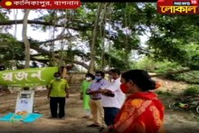 বিশ্ব কচ্ছপ দিবসে, দামোদরে নেমে কচ্ছপ বাঁচানোর অঙ্গীকার হাওড়ার পরিবেশপ্রেমীদের