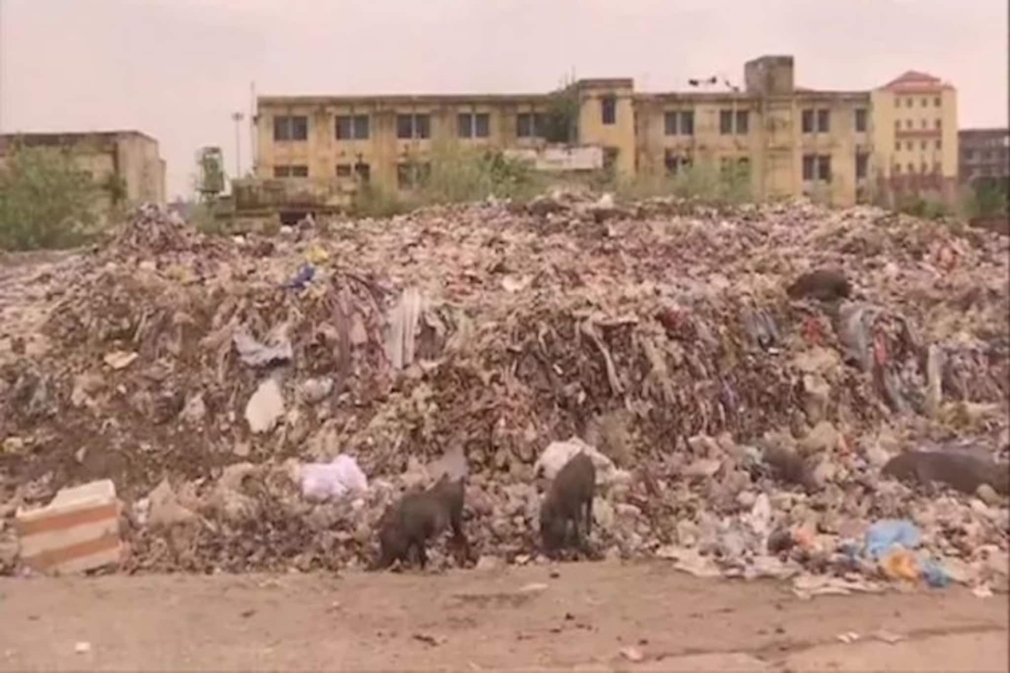 Bihar's Oldest Hospital : করোনা বিধি দুরস্ত, বিহারের প্রাচীনতম হাসপাতাল যেন শুয়োরের খোয়াড়!