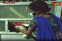 কলিংবেল বাজিয়ে ফেলে গেল সদ্যজাত কন্যাসন্তানকে, জনসচেতনতার ফলে সুরক্ষা পেল খুদে