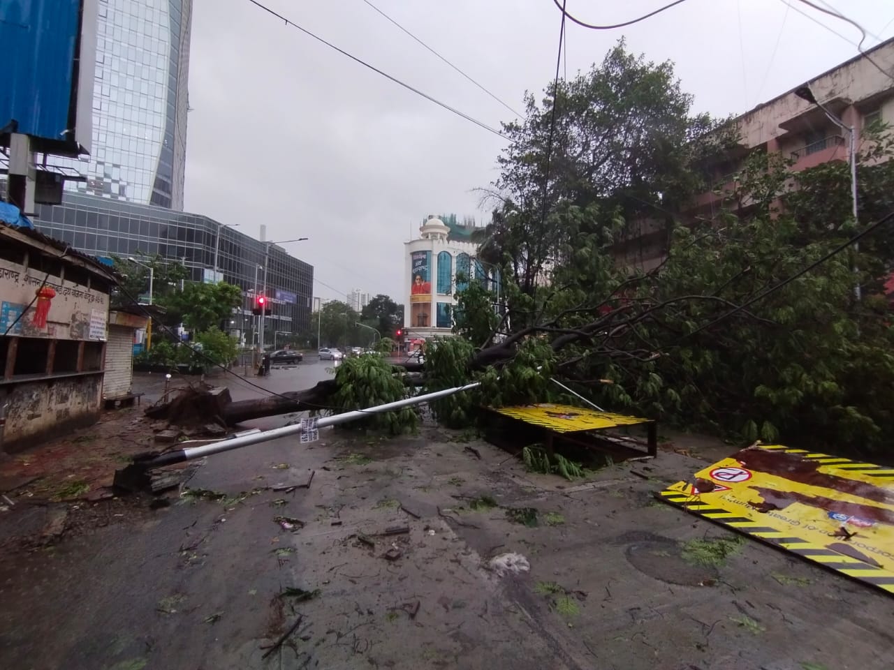 গুজরাত উপকূলে পৌঁছনোর আগেই আরব সাগরে এই ঘূর্ণিঝড় সাইকেলোনিক স্টর্ম থেকে ভেরি সিভিয়ার সাইকেলোনিক স্টর্ম বা অতি শক্তিশালী ঘূর্ণিঝড়ে পরিণত হয়েছে। আজ, সোমবার রাতেই সেই ঘূর্ণিঝড় চরম শক্তিশালী ঘূর্ণিঝড়ের রূপ নিয়ে আছড়ে পড়বে। মুম্বই উপকূলের গা ঘেঁষে গুজরাত উপকূলের দিকে এগোচ্ছে এই ঝড়। যার প্রভাব পড়তে পারে কেরল, তামিলনাড়ু, কর্ণাটক, গোয়া ও মহারাষ্ট্রের উপকূলে। দক্ষিণ-পূর্ব আরব সাগর, মলদ্বীপ ও লাক্ষাদ্বীপের সমুদ্রে যেতে নিষেধ করা হয়েছে মৎস্যজীবীদের। কর্ণাটক মহারাষ্ট্র ও গোয়া উপকূল এবং কেরল ও গুজরাত উপকূলেও মৎস্যজীবীদের সমুদ্রে যেতে নিষেধ করা হয়েছে । গুজরাত উপকূলে পৌঁছনোর আগেই আরব সাগরে এই ঘূর্ণিঝড় সাইকেলোনিক স্টর্ম থেকে ভেরি সিভিয়ার সাইকেলোনিক স্টর্ম বা অতি শক্তিশালী ঘূর্ণিঝড়ে পরিণত হয়েছে। আজ, সোমবার রাতেই সেই ঘূর্ণিঝড় চরম শক্তিশালী ঘূর্ণিঝড়ের রূপ নিয়ে আছড়ে পড়বে। মুম্বই উপকূলের গা ঘেঁষে গুজরাত উপকূলের দিকে এগোচ্ছে এই ঝড়। যার প্রভাব পড়তে পারে কেরল, তামিলনাড়ু, কর্ণাটক, গোয়া ও মহারাষ্ট্রের উপকূলে। দক্ষিণ-পূর্ব আরব সাগর, মলদ্বীপ ও লাক্ষাদ্বীপের সমুদ্রে যেতে নিষেধ করা হয়েছে মৎস্যজীবীদের। কর্ণাটক মহারাষ্ট্র ও গোয়া উপকূল এবং কেরল ও গুজরাত উপকূলেও মৎস্যজীবীদের সমুদ্রে যেতে নিষেধ করা হয়েছে ।