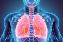 Lungs Heath: করোনাকালে এই পানীয়গুলি খান, তুখড় কর্মক্ষম থাকবে আপনার ফুসফুস