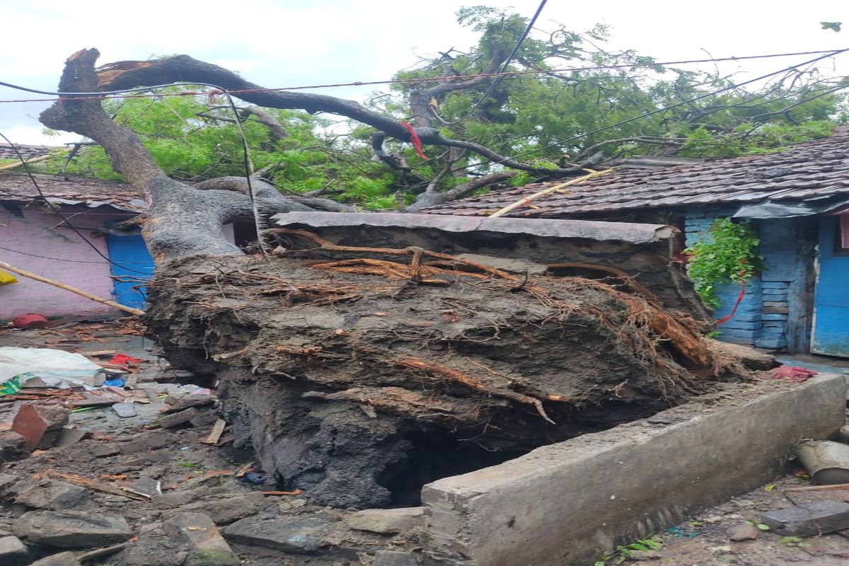 এদিন সন্ধ্যায় নবান্নে সাংবাদিক বৈঠকে মুখ্যমন্ত্রী জানান এই ধরণের ছোটোখাটো ঝড়ের পূর্বাভাস জানানো হয়েছিল আবহাওয়া দফতর সূত্রে। বিদ্যুতপৃষ্ঠ হয়ে দুই ব্যক্তির মৃত্যুতে শোক প্ৰকাশ করে মমতা বলেন ক্ষতিগ্রস্তদের সাহায্য করবে প্রশাসন। এদিন সন্ধ্যায় নবান্নে সাংবাদিক বৈঠকে মুখ্যমন্ত্রী জানান এই ধরণের ছোটোখাটো ঝড়ের পূর্বাভাস জানানো হয়েছিল আবহাওয়া দফতর সূত্রে। বিদ্যুতপৃষ্ঠ হয়ে দুই ব্যক্তির মৃত্যুতে শোক প্ৰকাশ করে মমতা বলেন ক্ষতিগ্রস্তদের সাহায্য করবে প্রশাসন।