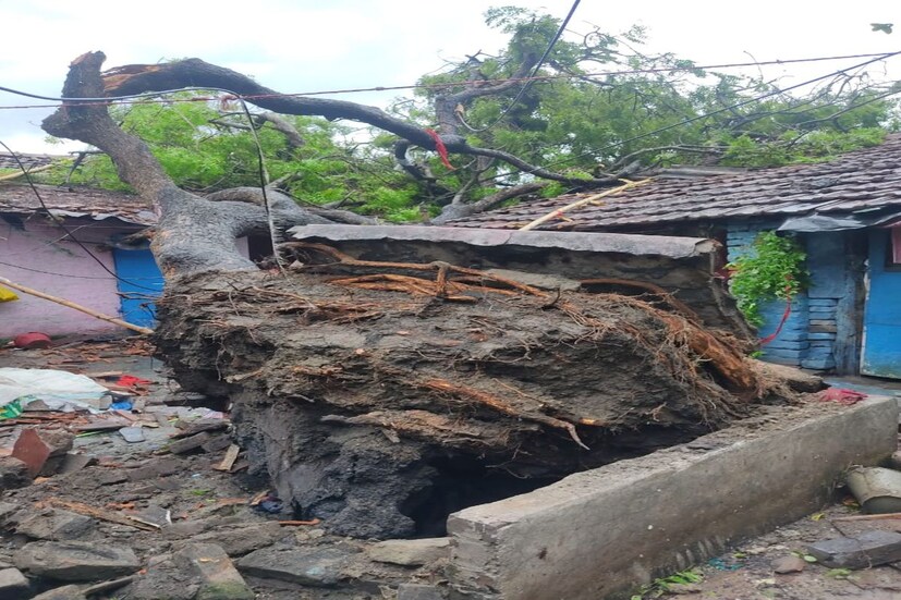 এদিন সন্ধ্যায় নবান্নে সাংবাদিক বৈঠকে মুখ্যমন্ত্রী জানান এই ধরণের ছোটোখাটো ঝড়ের পূর্বাভাস  জানানো হয়েছিল আবহাওয়া দফতর সূত্রে। বিদ্যুতপৃষ্ঠ হয়ে দুই ব্যক্তির মৃত্যুতে শোক প্ৰকাশ করে মমতা বলেন ক্ষতিগ্রস্তদের সাহায্য করবে প্রশাসন। 
