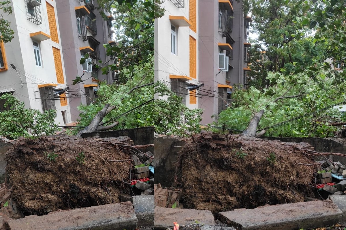 ঘণ্টায় ১৫৫-১৬৫ কিলোমিটার গতিবেগে ভাবনগর জেলার পোরবন্দর ও মহুবা এলাকা অতিক্রম করতে পারে বলে জানা যাচ্ছে ভারতীয় আবহাওয়া দফতর সূত্রে। ঘণ্টায় ১৫৫-১৬৫ কিলোমিটার গতিবেগে ভাবনগর জেলার পোরবন্দর ও মহুবা এলাকা অতিক্রম করতে পারে বলে জানা যাচ্ছে ভারতীয় আবহাওয়া দফতর সূত্রে।