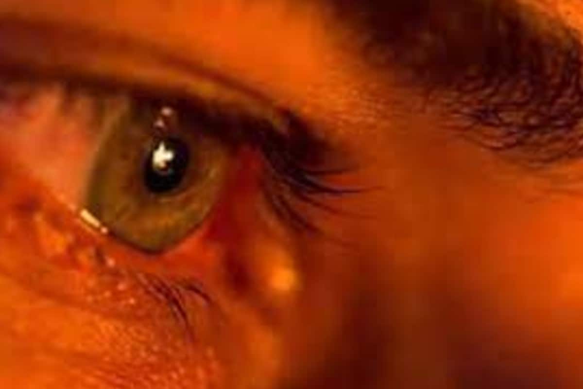 কান্নাকে অনেকেই দুর্বলতা মনে করেন। সমাজ কী ভাবে বিষয়টাকে দেখবে এই ভেবে অনেকেই কাঁদেন না। কান্না আসলেও চোয়াল শক্ত করে চেপে রাখেন। কিন্তু যাঁরা কেঁদে ফেলেন সহজেই তাঁরা এসবের তোয়াক্কা করেন না। ভয় না পেয়ে নিজের আবেগকেই তাঁরা প্রাধান্য দেন। কান্না হাসির মতোই একটি স্বাভাবিক প্রতিক্রিয়া। তাই কেঁদে ফেললে তাঁরা লজ্জিত হন না। তাই সাহসের দিক থেকেও এঁদের কিছুটা এগিয়ে রাখাই যায়। কান্নাকে অনেকেই দুর্বলতা মনে করেন। সমাজ কী ভাবে বিষয়টাকে দেখবে এই ভেবে অনেকেই কাঁদেন না। কান্না আসলেও চোয়াল শক্ত করে চেপে রাখেন। কিন্তু যাঁরা কেঁদে ফেলেন সহজেই তাঁরা এসবের তোয়াক্কা করেন না। ভয় না পেয়ে নিজের আবেগকেই তাঁরা প্রাধান্য দেন। কান্না হাসির মতোই একটি স্বাভাবিক প্রতিক্রিয়া। তাই কেঁদে ফেললে তাঁরা লজ্জিত হন না। তাই সাহসের দিক থেকেও এঁদের কিছুটা এগিয়ে রাখাই যায়।