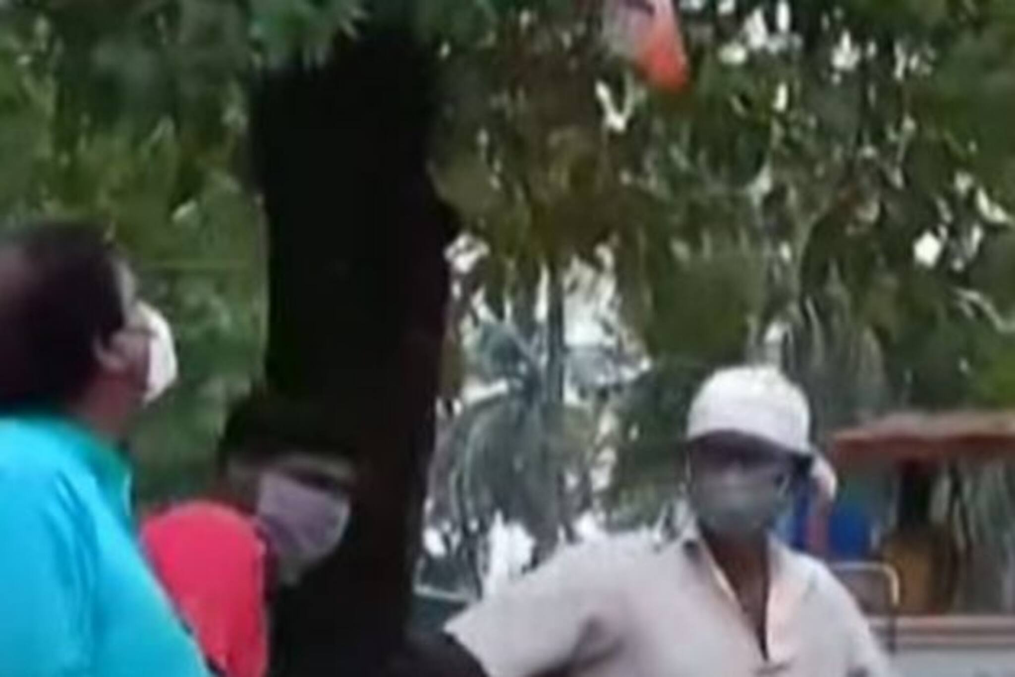 Video: Yaas আসার আগে তৎপর প্রশাসন, গাছপালার একাংশ ছেঁটে দেওয়া হচ্ছে বিপদ এড়াতে