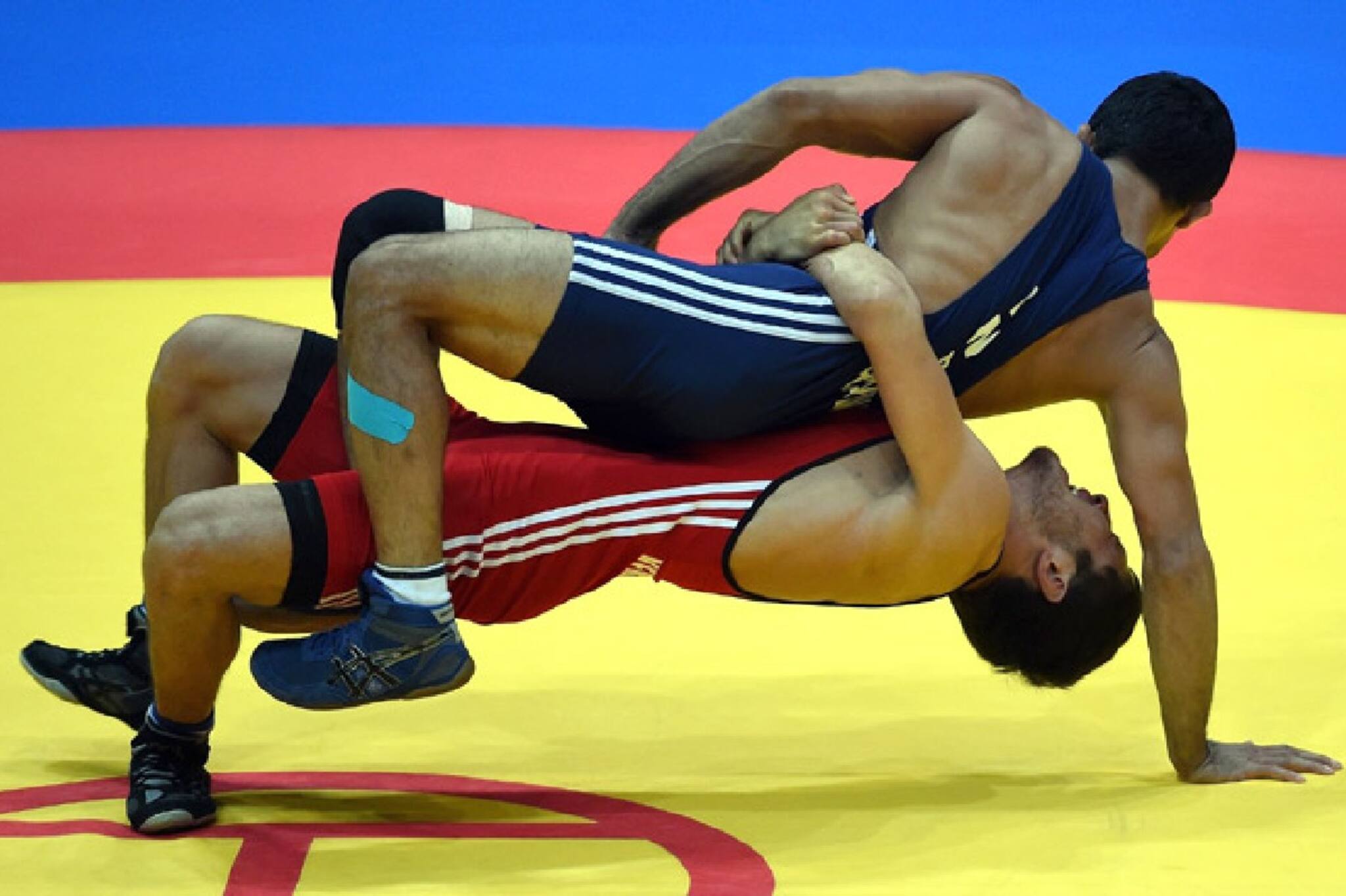 মর্মান্তিক! খেলার সময় ঝগড়া, কুস্তিগীরকে প্রাণে মেরে ফেলল আরেক 'পালোয়ান'