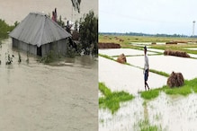 করোনা ও ইয়াসের জোড়া ধাক্কায় জেরবার জেলার কাঁকড়া চাষীরা করোনা ও ইয়াসের জোড়া ধাক্কায় জেরবার জেলার কাঁকড়া চাষীরা