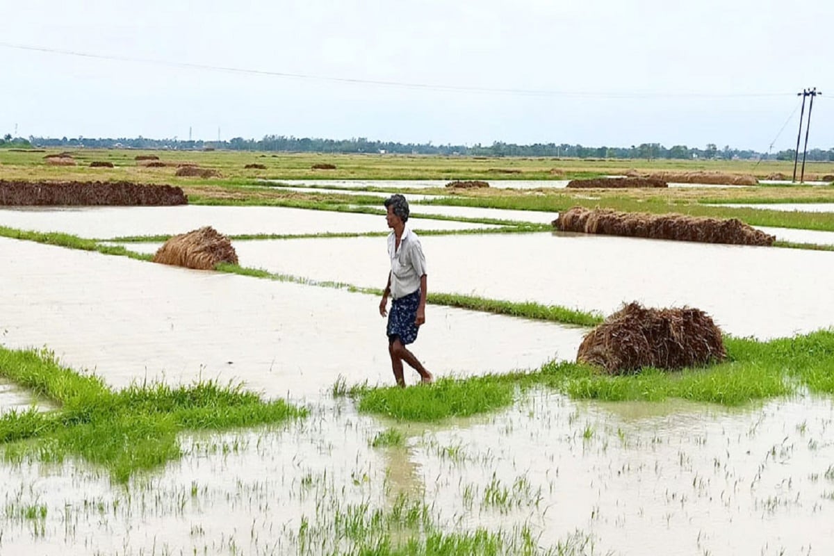 শস্য নষ্ট হবার জন্য ক্ষতিগ্রস্ত চাষিরা ন্যূনতম এক হাজার টাকা এবং সর্বোচ্চ আড়াই হাজার টাকা করে পাবেন। কৃষি দফতর এই ত্রাণবিষয়ক বিষয়টি দেখাশোনা করবে। শস্য নষ্ট হবার জন্য ক্ষতিগ্রস্ত চাষিরা ন্যূনতম এক হাজার টাকা এবং সর্বোচ্চ আড়াই হাজার টাকা করে পাবেন। কৃষি দফতর এই ত্রাণবিষয়ক বিষয়টি দেখাশোনা করবে।