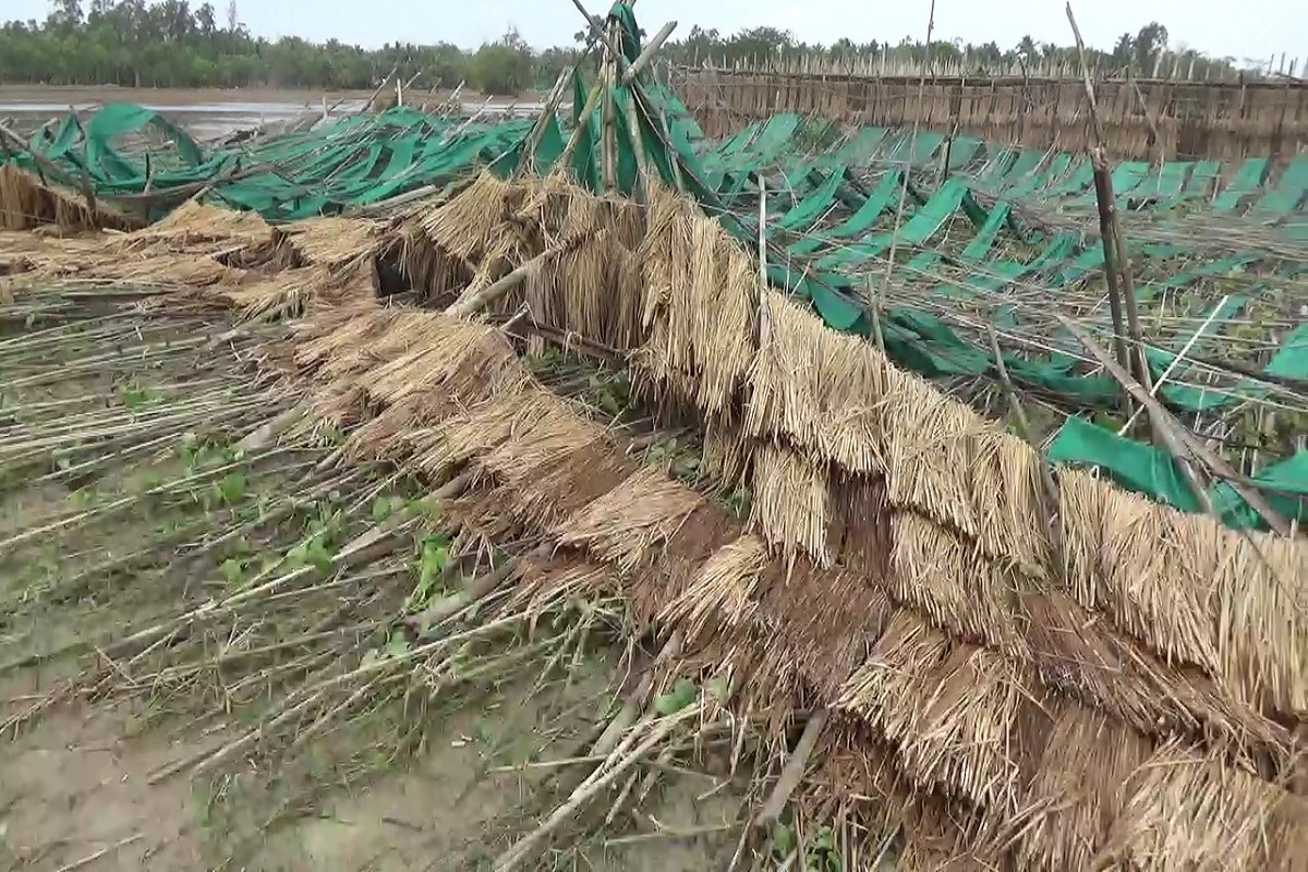 বৃষ্টিতে ক্ষতিগ্রস্ত হয়েছে পানের বরজগুলিও। তার জন্য ক্ষতিগ্রস্ত পানচাষীদের ক্ষতিপূরণের টাকা দেবে উদ্যানপালন দফতর। পাঁচ হাজার টাকা করে ক্ষতিপূরণ দেওয়া হবে। বৃষ্টিতে ক্ষতিগ্রস্ত হয়েছে পানের বরজগুলিও। তার জন্য ক্ষতিগ্রস্ত পানচাষীদের ক্ষতিপূরণের টাকা দেবে উদ্যানপালন দফতর। পাঁচ হাজার টাকা করে ক্ষতিপূরণ দেওয়া হবে।