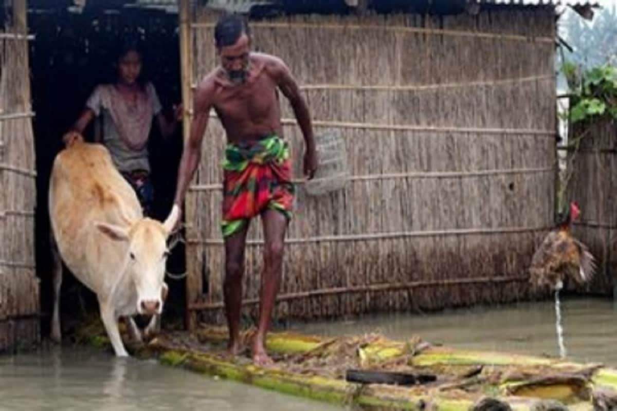 ইয়াসের জেরে অনেক গৃহপালিত পশু মারা গেছে ও জলের তোড়ে ভেসেও গেছে। তাদের ক্ষতিপূরণ দেবে প্রাণী সম্পদ বিকাশ দফতর। নির্দেশিকায় বলা হয়েছে, মহিষ কিংবা গরুর মৃত্যুর ক্ষতিপূরণ বাবদ ত্রিশ হাজার টাকা, ছাগল ভেড়া মারা গেলে বা ভেসে গেলে ৩হাজার টাকা, বাছুরের জন্য ১৬০০০ টাকা আর্থিক সাহায্য দেওয়া হবে। ইয়াসের জেরে অনেক গৃহপালিত পশু মারা গেছে ও জলের তোড়ে ভেসেও গেছে। তাদের ক্ষতিপূরণ দেবে প্রাণী সম্পদ বিকাশ দফতর। নির্দেশিকায় বলা হয়েছে, মহিষ কিংবা গরুর মৃত্যুর ক্ষতিপূরণ বাবদ ত্রিশ হাজার টাকা, ছাগল ভেড়া মারা গেলে বা ভেসে গেলে ৩হাজার টাকা, বাছুরের জন্য ১৬০০০ টাকা আর্থিক সাহায্য দেওয়া হবে।