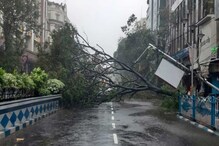 আমফানের কলকাতা আর নয়, যশ মোকাবিলায় পূর্ণ প্রস্তুতি পুরসভার আমফানের কলকাতা আর নয়, যশ মোকাবিলায় পূর্ণ প্রস্তুতি পুরসভার