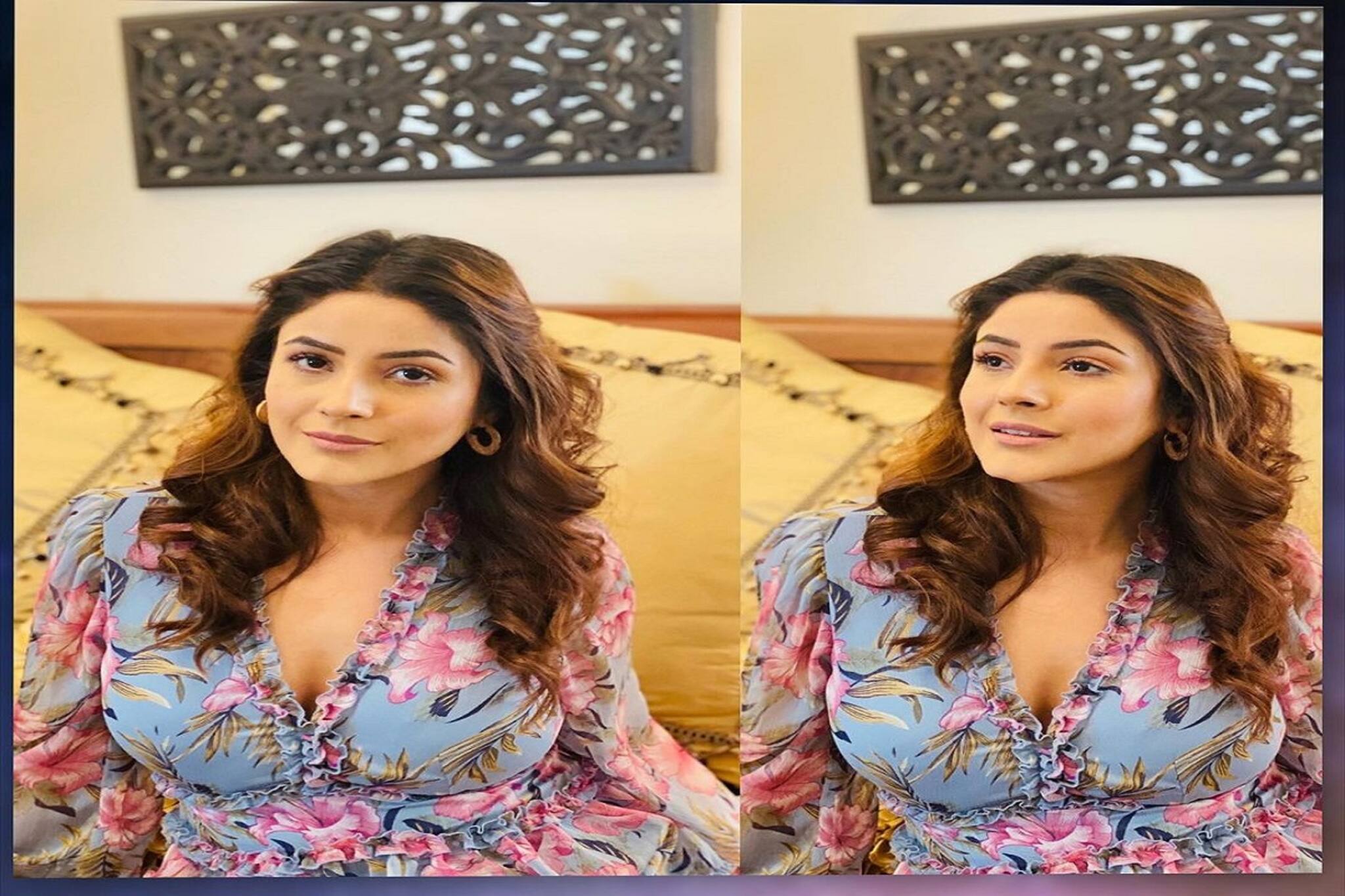 Shehanaaz Gill: শরীর নয় আগুন ছড়াচ্ছেন শাহনাজ গিল, প্রতিটি ছবিই কাঁপাচ্ছে সোশ্যাল মিডিয়া