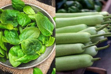 সবুজ শাক-সবজি: সবুক শাক-সবজির গুণাগুণ শরীরে প্রচুর। এগুলি আমাদের শরীরে প্রয়োজনীয় পুষ্টি জোগান দেয়। শাক-সবজিতে ভিটামিন, প্রোটিন, মিনারেল, কার্বহাইড্রেটের পাশাপাশি শরীরে প্রয়োজনীয় ফ্যাটও রয়েছে। মিনারেল ও ভিটামিনের অন্যতম উৎসই শাক-সবজি। শরীরে রোগ প্রতিরোধ ক্ষমতা বাড়াতে সবজির জুড়ি মেলা ভার। শরীরকে ধরে রাখতে, শরীরের ক্ষয় সাড়াতে কাজে লাগে সবুজ শাক-সবজির ক্ষমতা। সবুজ শাক-সবজি: সবুক শাক-সবজির গুণাগুণ শরীরে প্রচুর। এগুলি আমাদের শরীরে প্রয়োজনীয় পুষ্টি জোগান দেয়। শাক-সবজিতে ভিটামিন, প্রোটিন, মিনারেল, কার্বহাইড্রেটের পাশাপাশি শরীরে প্রয়োজনীয় ফ্যাটও রয়েছে। মিনারেল ও ভিটামিনের অন্যতম উৎসই শাক-সবজি। শরীরে রোগ প্রতিরোধ ক্ষমতা বাড়াতে সবজির জুড়ি মেলা ভার। শরীরকে ধরে রাখতে, শরীরের ক্ষয় সাড়াতে কাজে লাগে সবুজ শাক-সবজির ক্ষমতা।