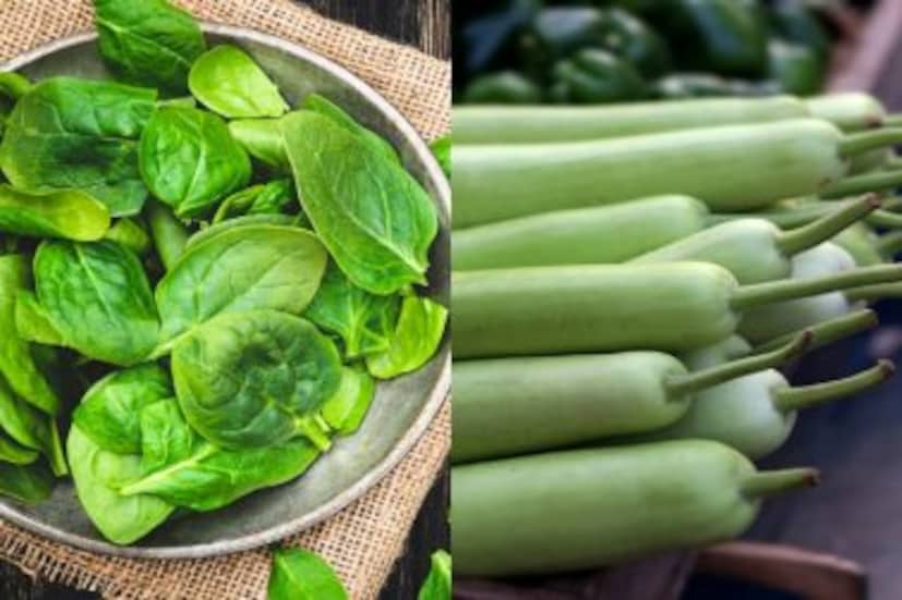 সবুজ শাক-সবজি: সবুক শাক-সবজির গুণাগুণ শরীরে প্রচুর। এগুলি আমাদের শরীরে প্রয়োজনীয় পুষ্টি জোগান দেয়। শাক-সবজিতে ভিটামিন, প্রোটিন, মিনারেল, কার্বহাইড্রেটের পাশাপাশি শরীরে প্রয়োজনীয় ফ্যাটও রয়েছে। মিনারেল ও ভিটামিনের অন্যতম উৎসই শাক-সবজি। শরীরে রোগ প্রতিরোধ ক্ষমতা বাড়াতে সবজির জুড়ি মেলা ভার। শরীরকে ধরে রাখতে, শরীরের ক্ষয় সাড়াতে কাজে লাগে সবুজ শাক-সবজির ক্ষমতা।