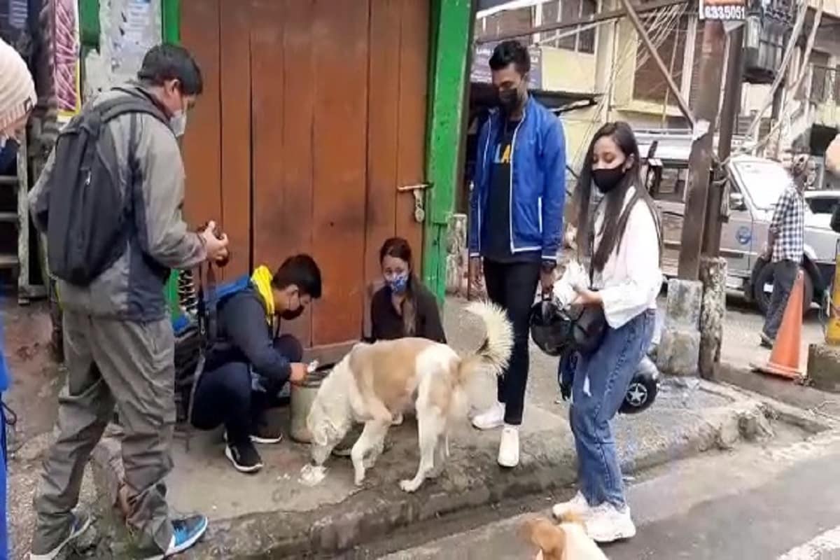 করোনা মোকাবিলায় কড়া বিধি নিষেধের জেরে পর্যটক শূন্য পাহাড়। জমজমাট ম্যালও আজ জন শূণ্য! নির্জনতায় মোড়া। খাঁ খাঁ করছে চারপাশ। প্রকৃতি তার অপরূপ সৌন্দর্যতা মেলে ধরলেও দেখার কেউ নেই। শুনশান ম্যালে বিচরণ করছে সারমেয়র দল! ইতিউতি খাবারে সন্ধানে। কখোনো বা চুপটি করে বসে থাকা! এই পরিবেশের সঙ্গে একেবারেই অভ্যস্ত নয় ওরাও! নামগেল নিজেই বাড়িতে পথ সারমেয়দের জন্যে তৈরী করে খাবার। দু'বেলা ম্যাল, ভানু ভবনের চারপাশের সব পথ সারমেয়দের খাবারের দায়িত্ব নিজের কাঁধে তুলে নেন নামগেল! নিজের হাতেই তৈরী রান্না! তারপর নিজেই পথে নেমে ওদের মুখে তুলে দিচ্ছেন খাবার! করোনা মোকাবিলায় কড়া বিধি নিষেধের জেরে পর্যটক শূন্য পাহাড়। জমজমাট ম্যালও আজ জন শূণ্য! নির্জনতায় মোড়া। খাঁ খাঁ করছে চারপাশ। প্রকৃতি তার অপরূপ সৌন্দর্যতা মেলে ধরলেও দেখার কেউ নেই। শুনশান ম্যালে বিচরণ করছে সারমেয়র দল! ইতিউতি খাবারে সন্ধানে। কখোনো বা চুপটি করে বসে থাকা! এই পরিবেশের সঙ্গে একেবারেই অভ্যস্ত নয় ওরাও! নামগেল নিজেই বাড়িতে পথ সারমেয়দের জন্যে তৈরী করে খাবার। দু'বেলা ম্যাল, ভানু ভবনের চারপাশের সব পথ সারমেয়দের খাবারের দায়িত্ব নিজের কাঁধে তুলে নেন নামগেল! নিজের হাতেই তৈরী রান্না! তারপর নিজেই পথে নেমে ওদের মুখে তুলে দিচ্ছেন খাবার!