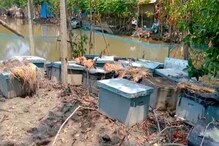 নোনা জল ঢুকে নষ্ট মৌমাছি পালনের বাক্স ! রুজি রোজগারে টান সুন্দরবনের মৌ-চাষিদের নোনা জল ঢুকে নষ্ট মৌমাছি পালনের বাক্স ! রুজি রোজগারে টান সুন্দরবনের মৌ-চাষিদের