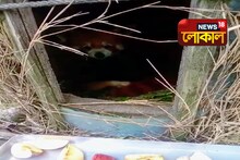 ফের পাহাড়ের কোল আলো করে নতুন অতিথি, আনন্দোচ্ছ্বাস দার্জিলিংয়ে