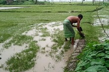 আল বাঁধতে কোদাল নিয়ে মাঠে নামলেন দুইবারের বিধায়ক আল বাঁধতে কোদাল নিয়ে মাঠে নামলেন দুইবারের বিধায়ক