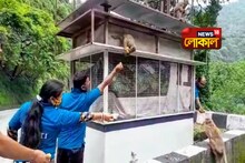 অভুক্ত বানরদের পাশে সৃষ্টি ফাউন্ডেশ