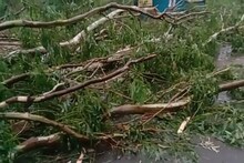 বজ্রপাতে ও গাছ পড়ে বীরভূমে মৃত তিন, আহত এক
