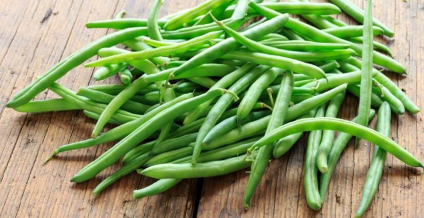 • Beans (বিনস)- বিনসে প্রচুর পরিমাণে প্রোটিন থাকে । তাই এই খাবার আমাদের শরীরে সঠিক পুষ্টি পেতে সাহায্য করে । শরীরের বৃদ্ধির জন্য প্রোটিন খুবই প্রয়োজনীয় । পাশাপাশি এতে থাকে আয়রন বা লোহা, ভিটামিন বি ও মাল্টি নিউট্রিয়েন্টস, যা আমাদের উচ্চতা বাড়াতে সাহায্য করে । 