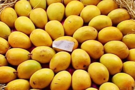 প্রতীকী ছবি।