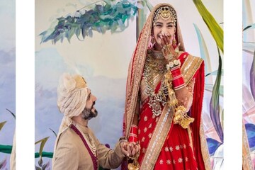 দেশ বিদেশে একাধিক প্রাসাদোপম বাড়ি, সোনম-আনন্দের দাম্পত্যে ছায়া ফেলেনি ট্রোলিং